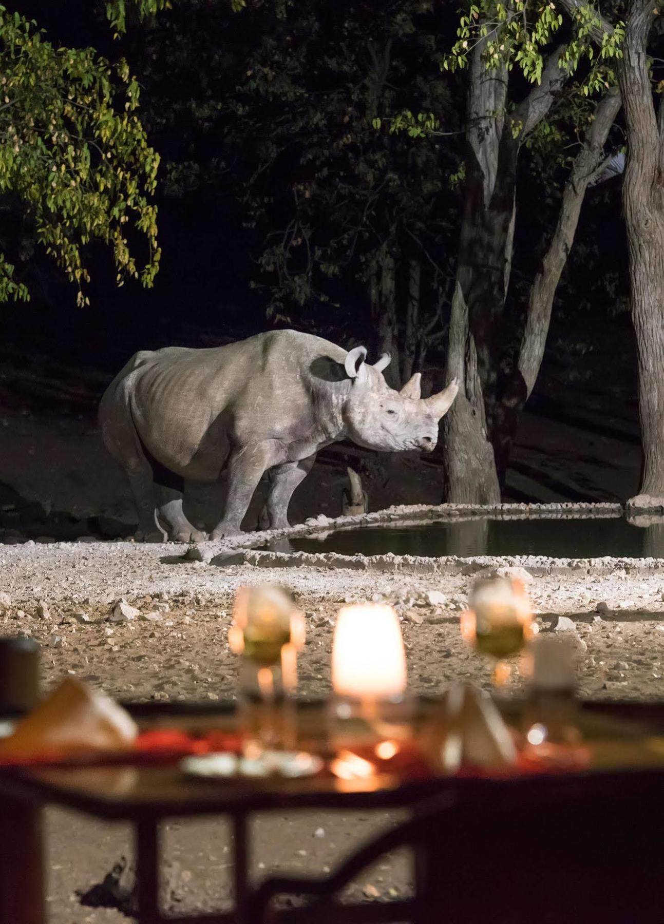 Ongava Tented Camp - All-Inclusive オカウクエジョ エクステリア 写真