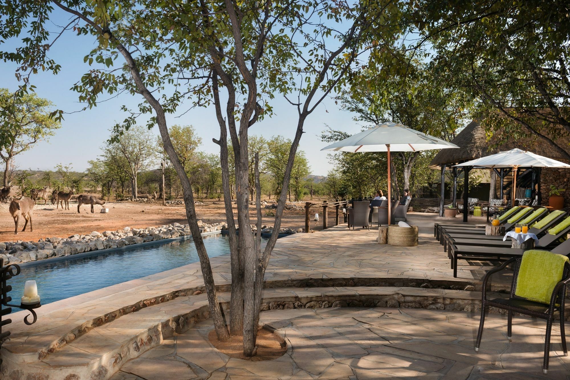 Ongava Tented Camp - All-Inclusive オカウクエジョ エクステリア 写真